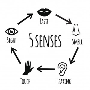 Mind Your Senses Mind Your Senses